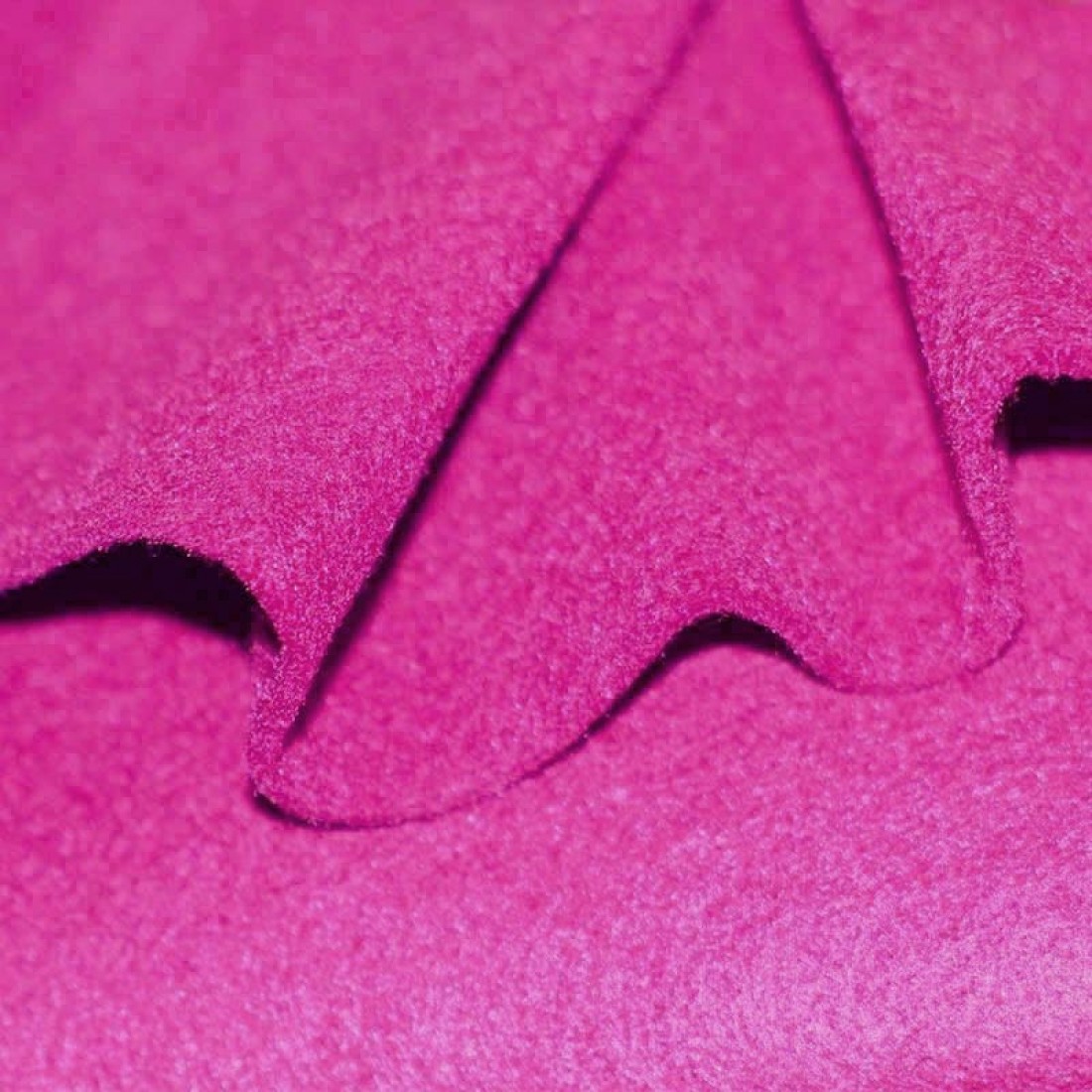 006 fuchsia